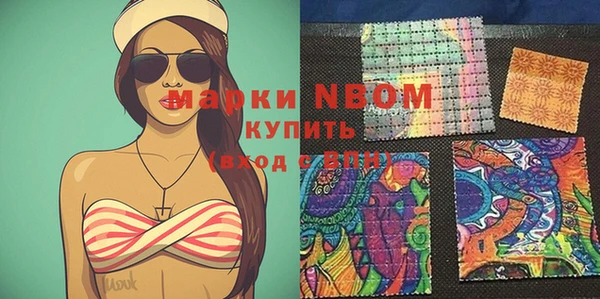 гидра Щигры