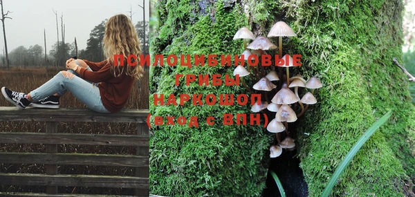 стафф Щучье