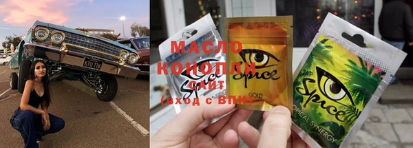 гидра Щигры