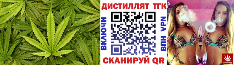 Купить где  Покачи  ТГК Wax 